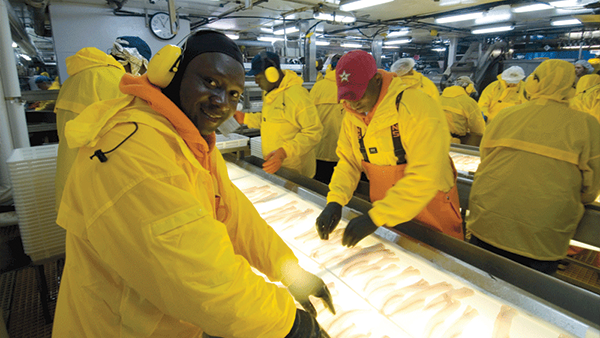 — title missing — Seafood processing workers inspect fish through a light table. Image credit: American Seafoods Group