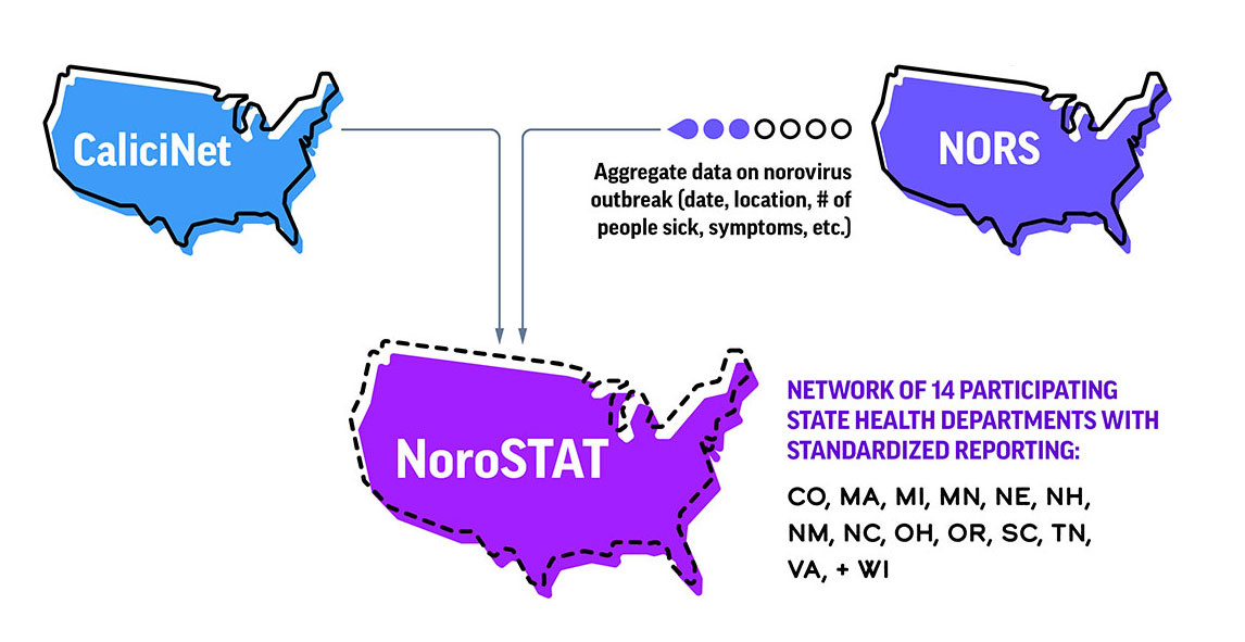 Flowchart of how data are submitted to NoroSTAT.