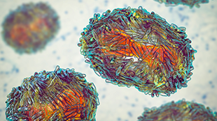 microscope level magnification image of monkey pox virus enhanced with color