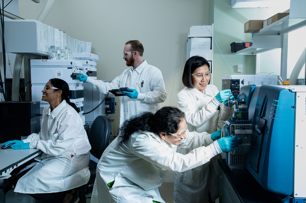 Lab scientists at work
