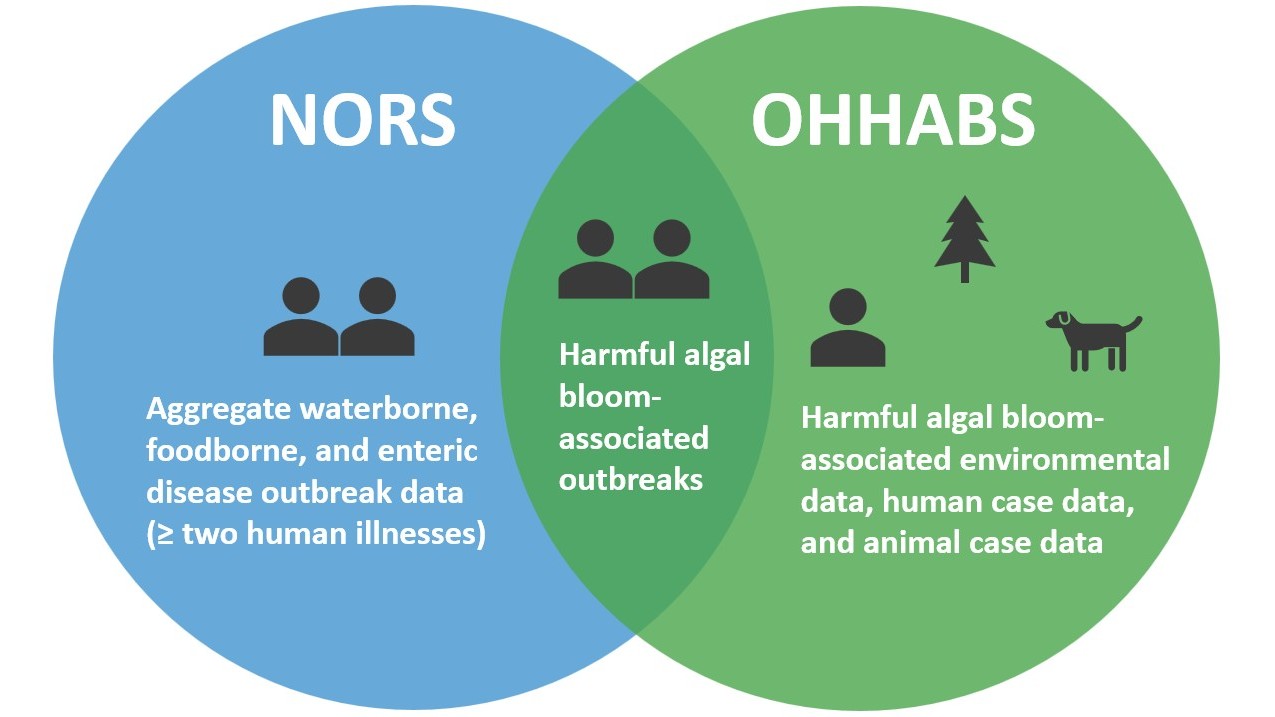 Graphic showing NORS collects aggregate waterborne, foodborne, and enteric disease outbreak data (two or more human illnesses). OHHABS collects harmful algal bloom-associated environmental data, human cases, and animal case data. Both NORS and OHHABS collect harmful algal bloom-associated outbreak data for humans.