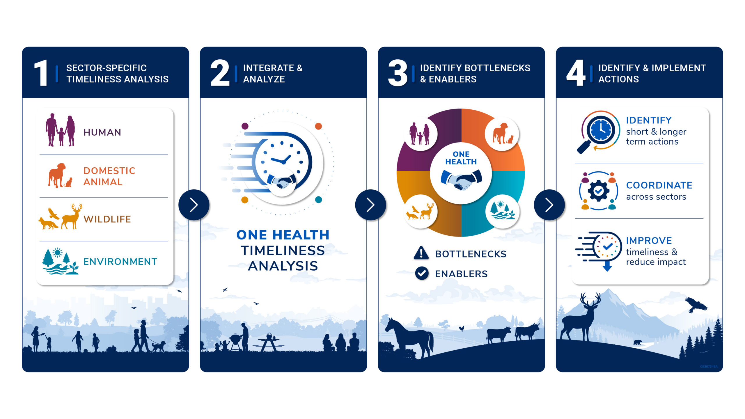 One Health Timeliness Analysis framework: analyze sector timelines, integrate findings, identify bottlenecks and enablers, and implement actions.