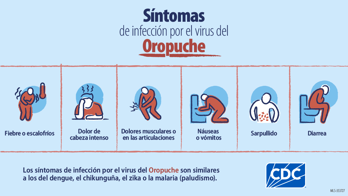 Los s&iacute;ntomas comunes incluyen fiebre, dolor de cabeza intenso, escalofr&iacute;os, dolores musculares y dolor en las articulaciones.