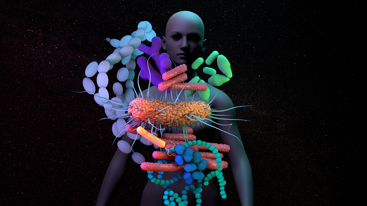 The human microbiome is a promising area of research for combating antibiotic resistant microorganisms.