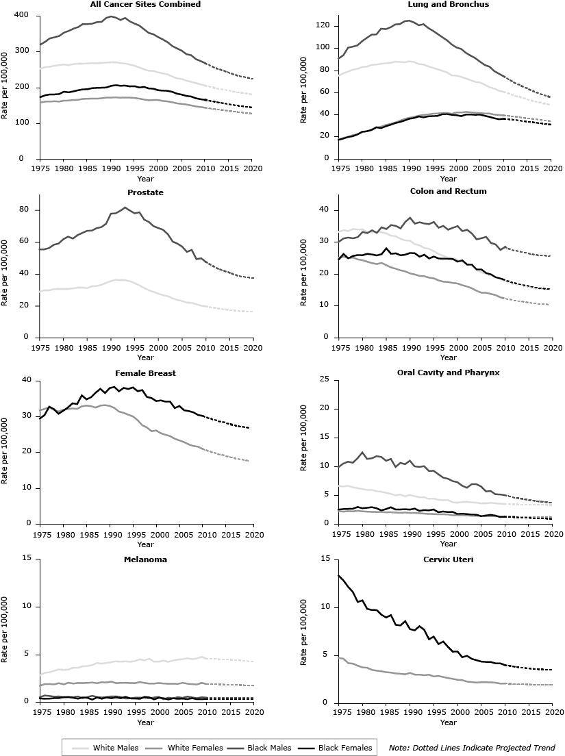 Trends in deaths from all cancers combined attributed to population risk (including diagnostic and treatment practices), growth, and aging (1975&ndash;2009), by sex and race (white, black).