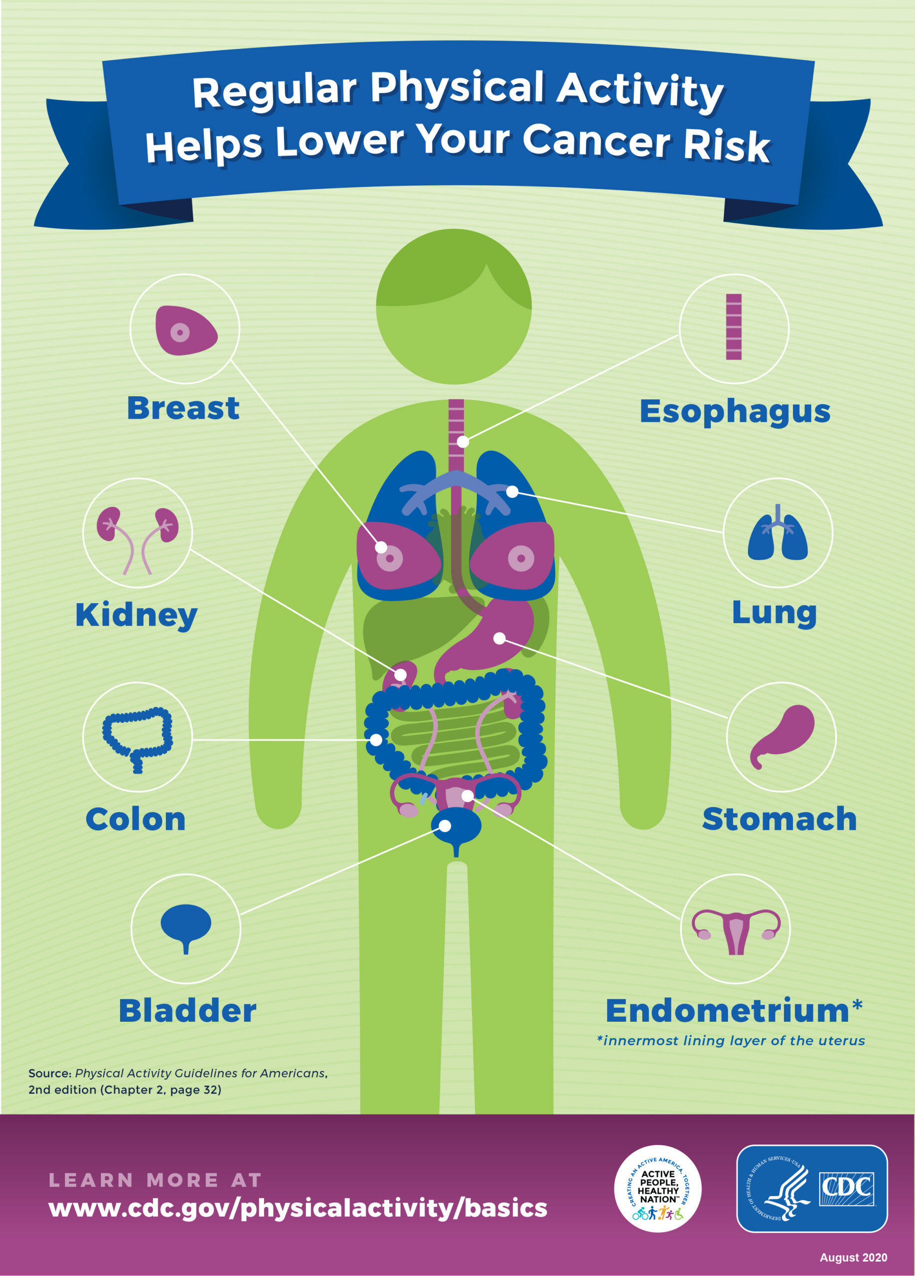 Regular physical activity helps lower your cancer risk
