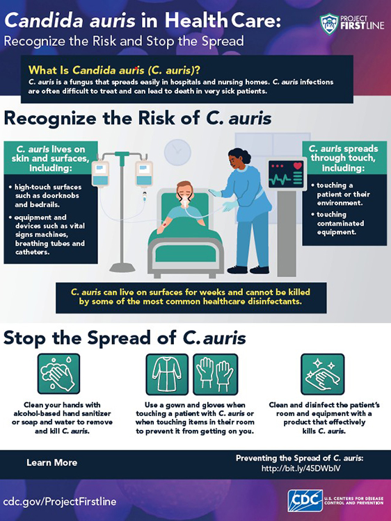 C. auris in Health Care