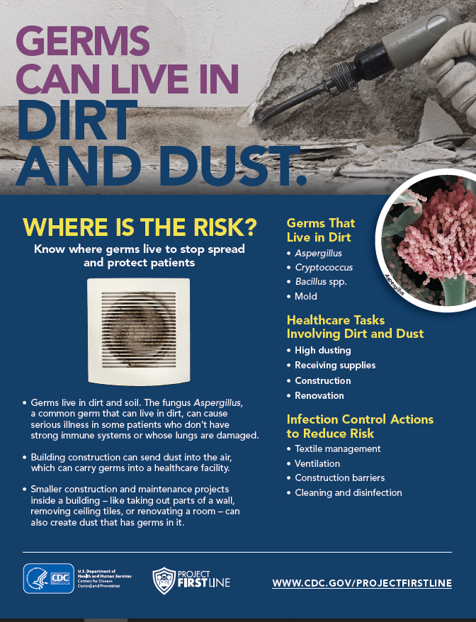 Dirt InfoGraphic