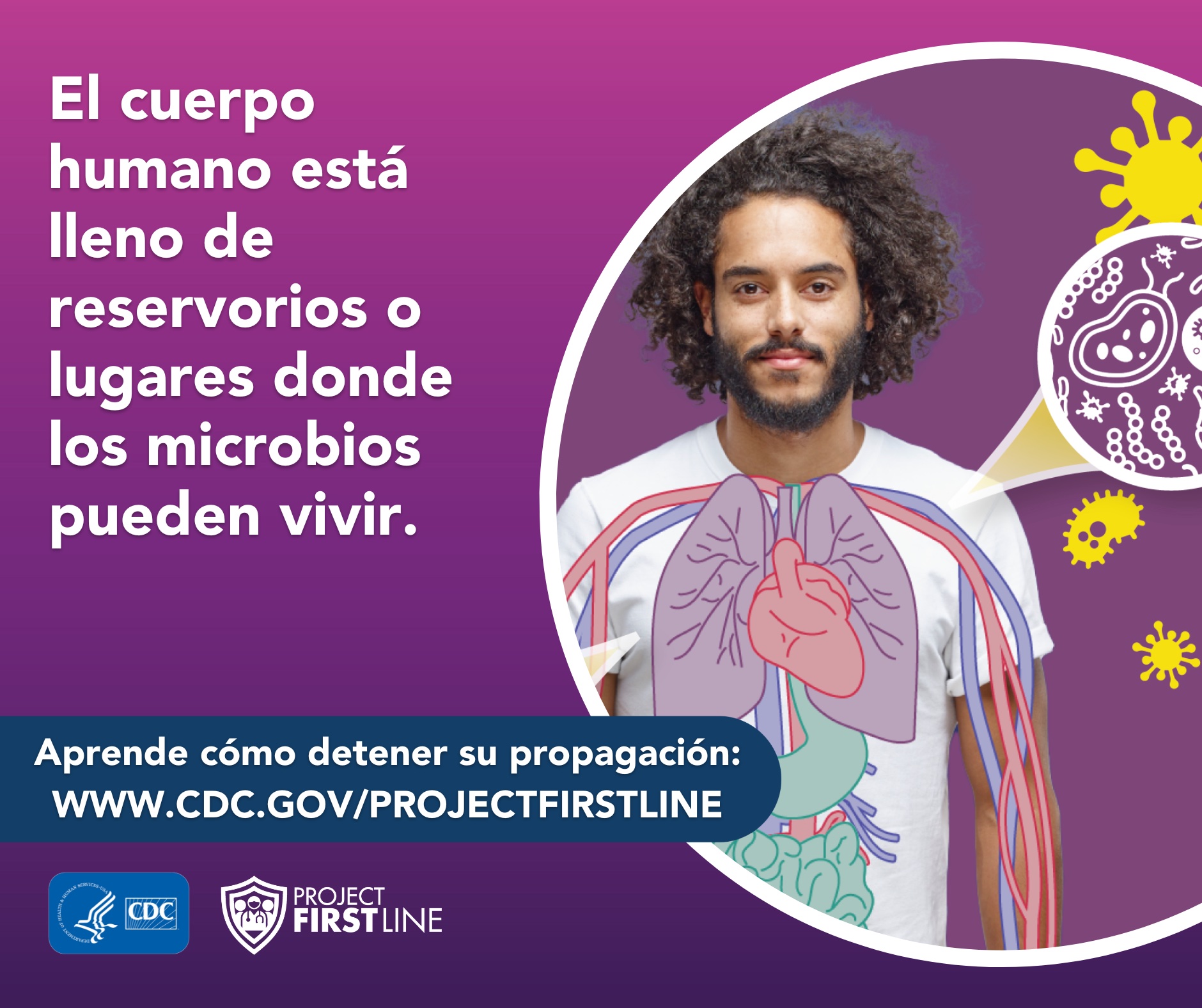 Dónde viven los microbios: Cuerpo – Facebook Spanish