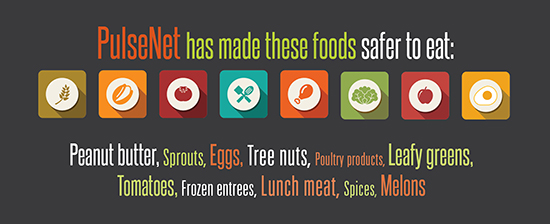 Graphic depicting foods PulseNet has made safer.