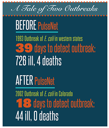 Infographic titled "A Tale of Two Outbreaks" comparing E. coli outbreak detection before and after PulseNet. Before PulseNet, a 1993 outbreak in western states took 39 days to detect and resulted in 726 illnesses and 4 deaths. After PulseNet, a 2002 outbreak in Colorado took 18 days to detect and resulted in 44 illnesses and 0 deaths.