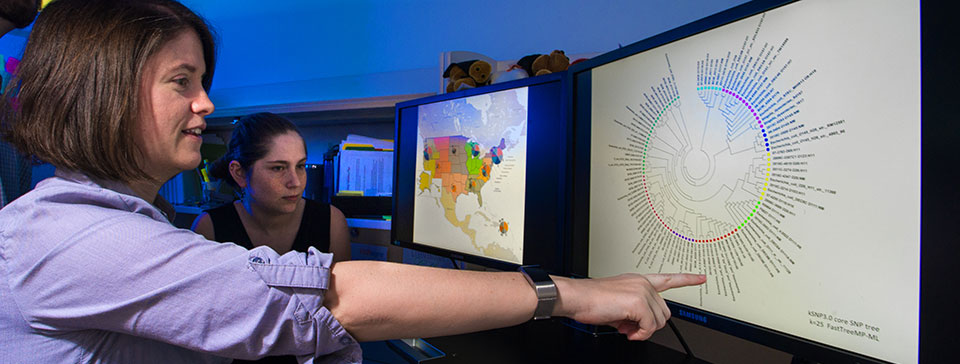 Genomic epidemiologist showing WGS analysis technology