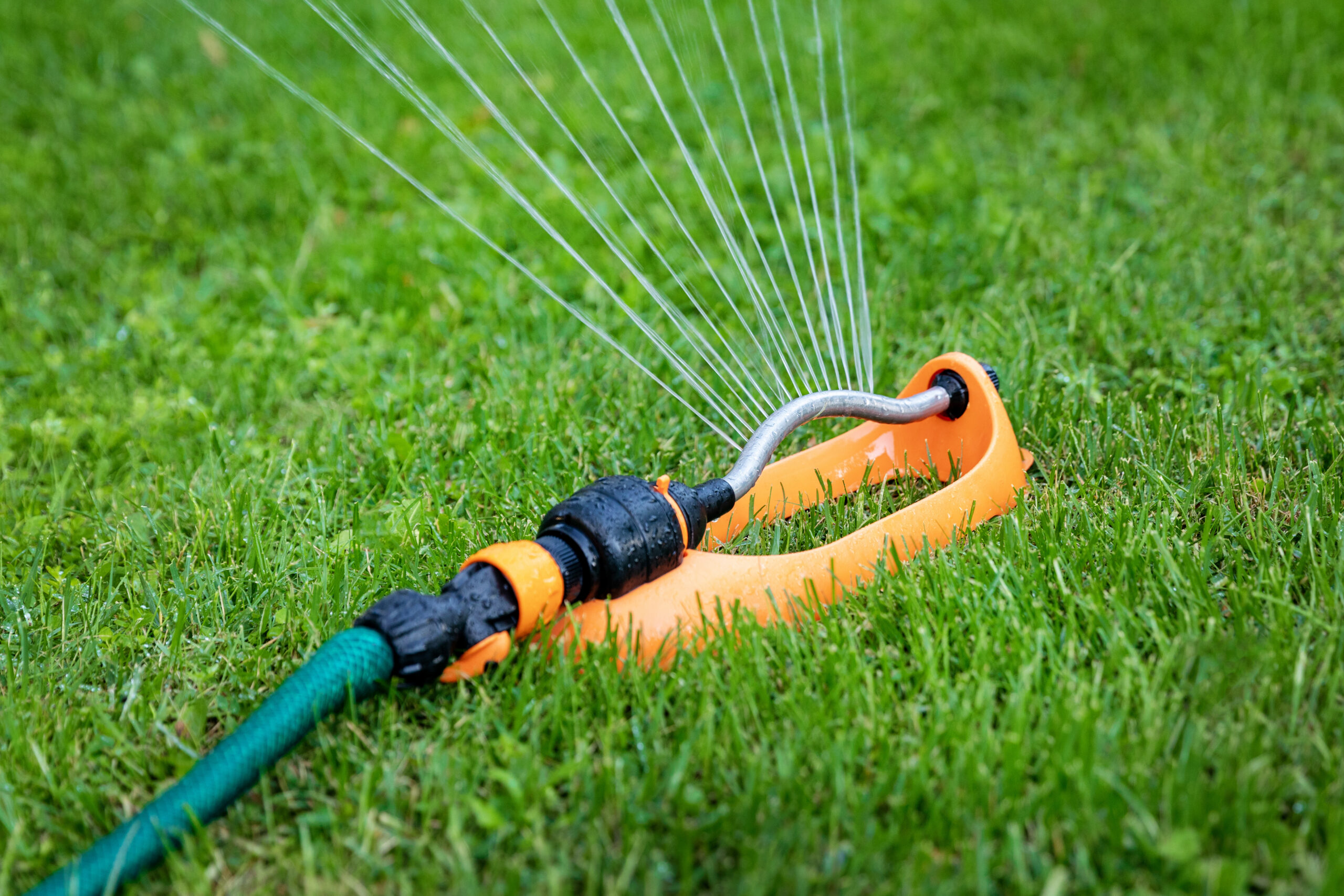 A lawn sprinkler spraying water