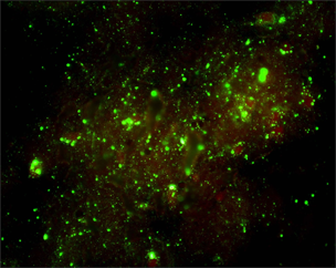 black background with green fluorescent lights throughout