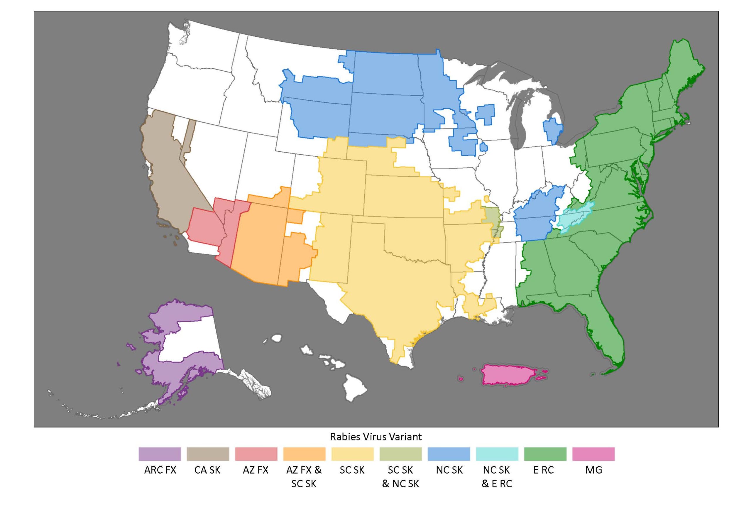 Map of the US showing rabies variant territories among wildlife