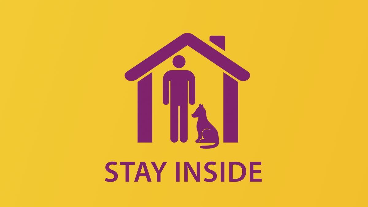 Stay Inside Stay Inside