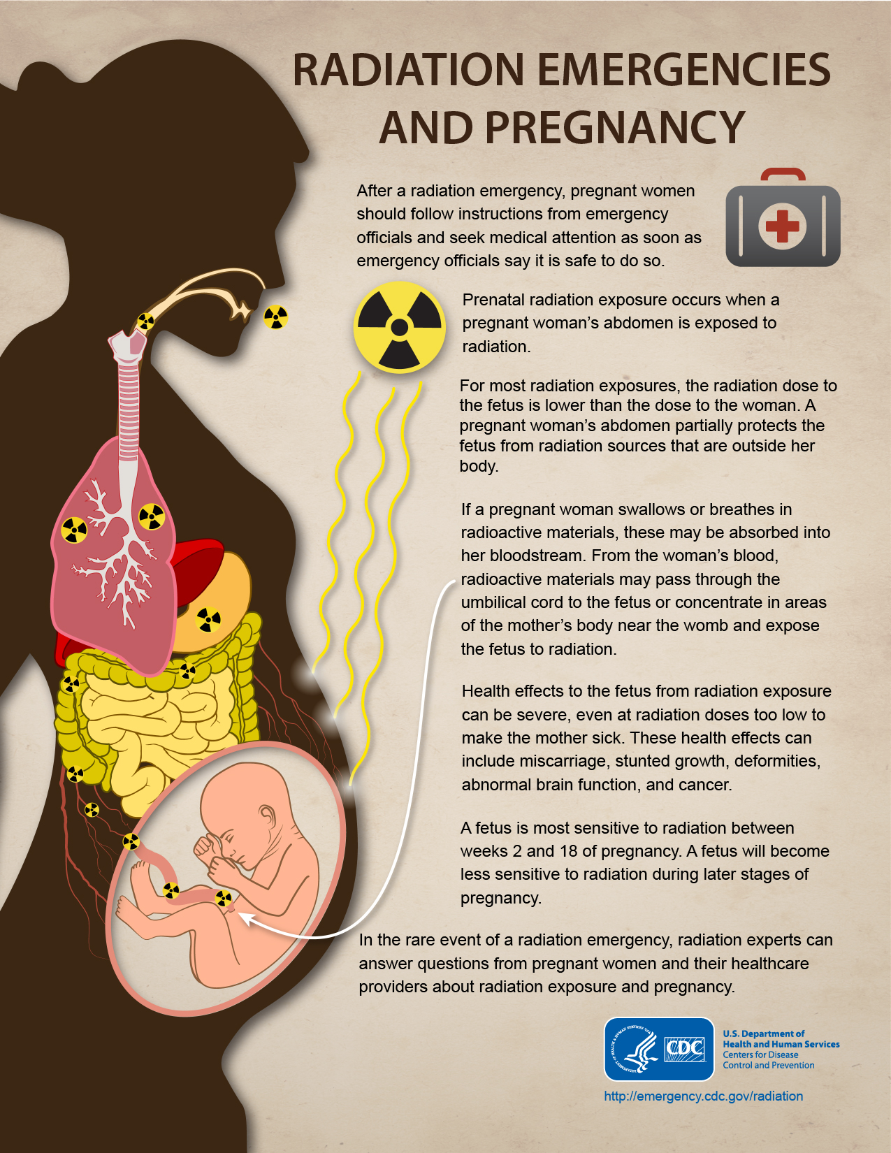 Radiation Emergencies and Pregnancy infographic Image describing radiation emergencies and potential effects on pregnancies