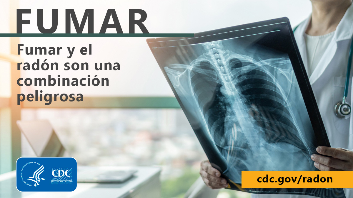Picture of a doctor with face out of shot holding plain film lung X-ray. In large title font at top left it reads, "FUMAR" and in smaller font beneath that, "Fumar y el radón son una combinación peligrosa". In the bottom left corner of the image is the CDC logo and at bottom right is the URL cdc.gov/radon