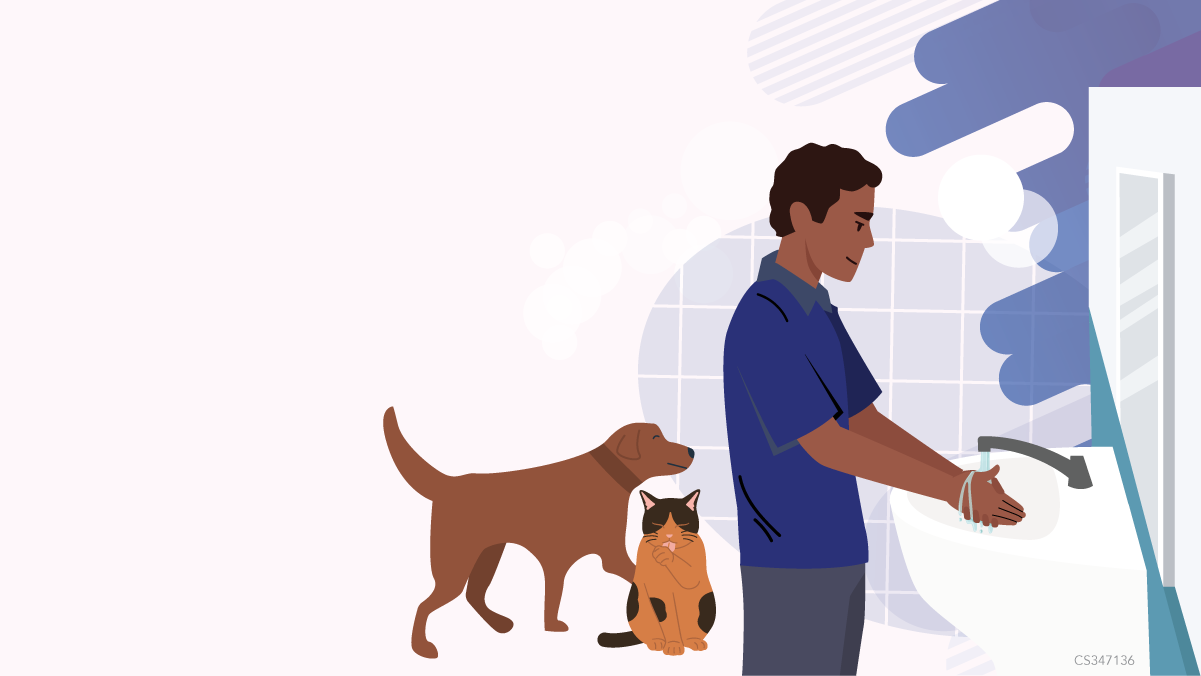 A cat and dog are in the background and a man is washing his hands