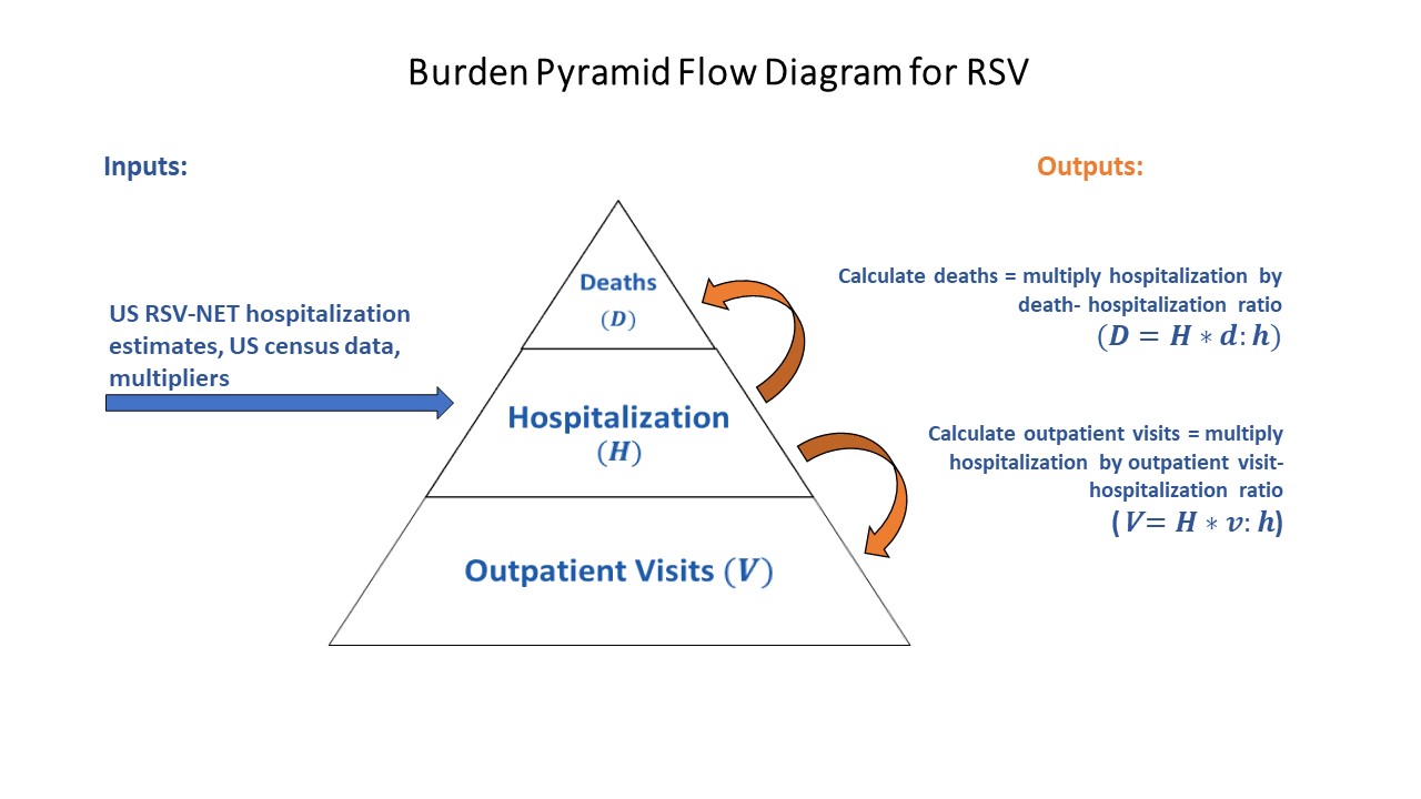 Starting on the left, there is an arrow that leads to a pyramid. The left-most arrow is labeled "US RSV-NET hospitalization estimates, US Census data, multipliers ".  The arrow, labeled "US RSV-NET hospitalization estimates, US Census data, multipliers", is leading right to the middle of the pyramid, which is labeled "Hospitalization (H)". In the pyramid, the base is labeled "Outpatient Visits (V)", and the top is labeled "Deaths (D)". On the right-side of the pyramid are arrows coming from the middle section titled &ldquo;Hospitalization (H)&rdquo;, with one leading up to the top section, labeled "Deaths (D)", and another arrow leading down to the bottom section, labeled "Outpatient Visits (V)&rdquo;.