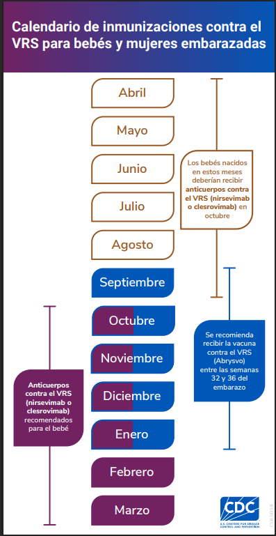 Calendario de inmunizaciones contra el VRS para bebés y mujeres embarazadas
