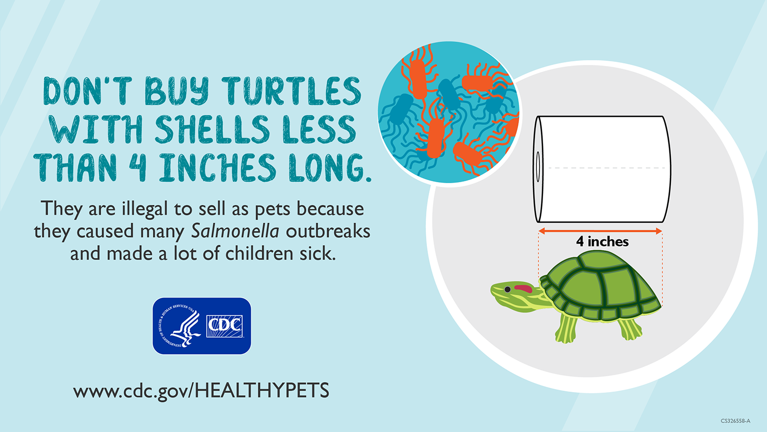 Tiny Turtles Graphic showing a turtle of 4 inches by a toilet paper roll
