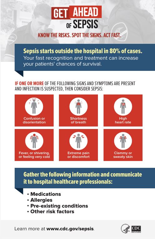 Thumbnail preview of "EMS Fact Sheet" resource