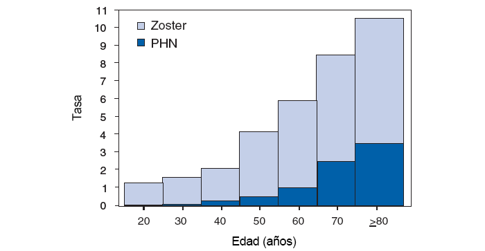 Figura1: esta figura muestra las tasas de culebrilla y neuralgia posherp&eacute;tica (PHN) por edad en los Estados Unidos. A partir de los 20 a&ntilde;os, las tasas de la culebrilla y la PHN por cada 1000 personas aumenta a medida que la edad aumenta, y las personas de m&aacute;s de 80 a&ntilde;os tienen las tasas m&aacute;s altas de ambas condiciones m&eacute;dicas. Fuente: https://www.cdc.gov/mmwr/preview/mmwrhtml/rr5705a1.htmShingle