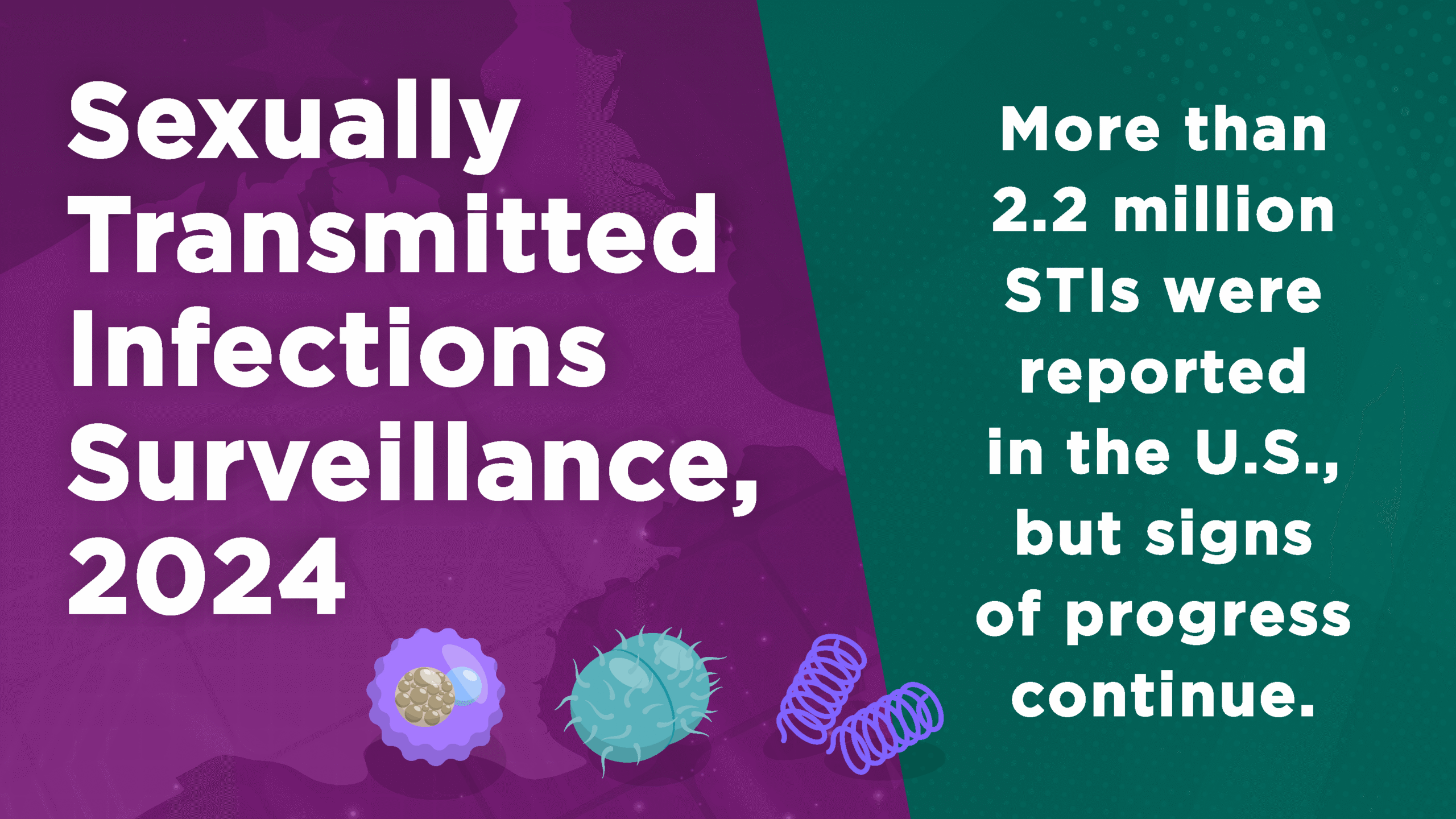 Sexually Transmitted Infections Surveillance, 2024
