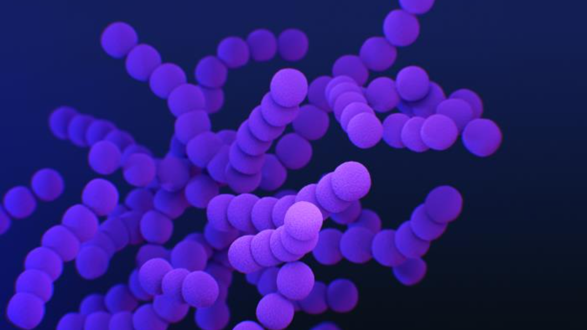 Graphic showing an up-close view of Streptococcus agalactiae