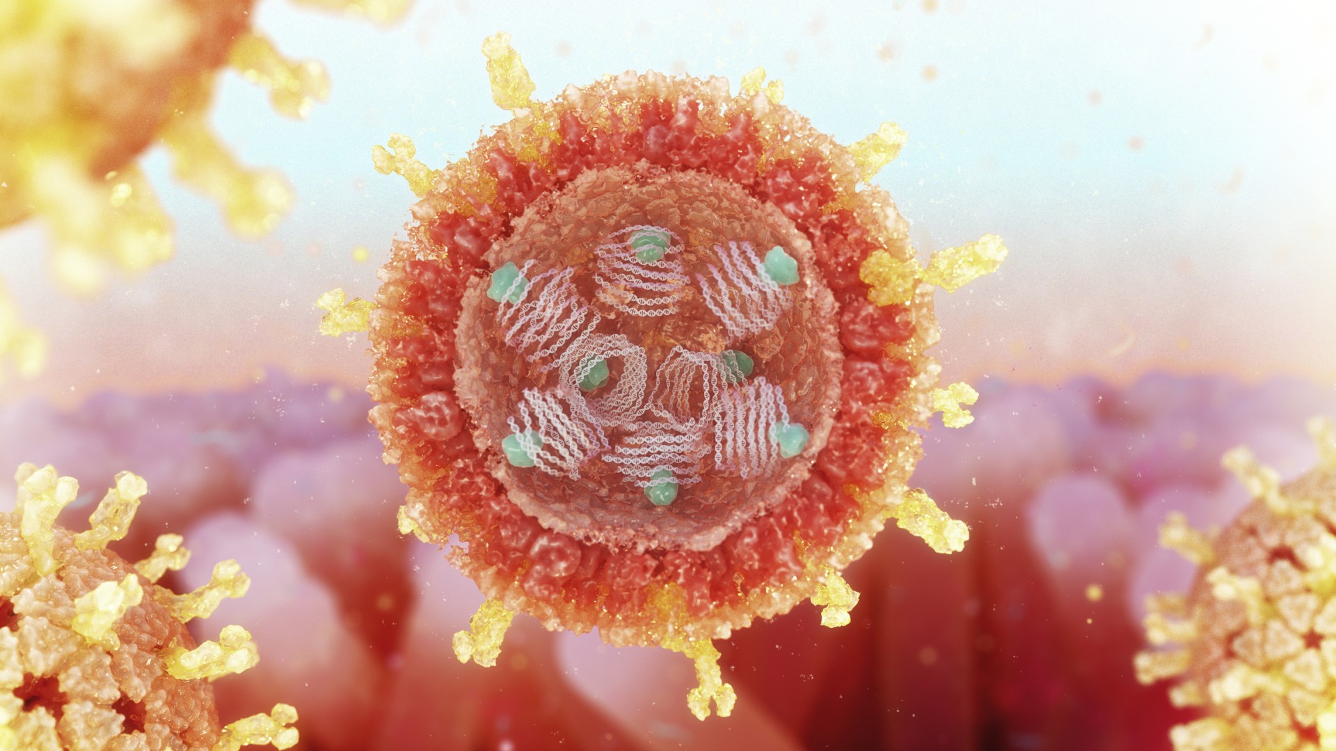 Rotavirus structure, illustration