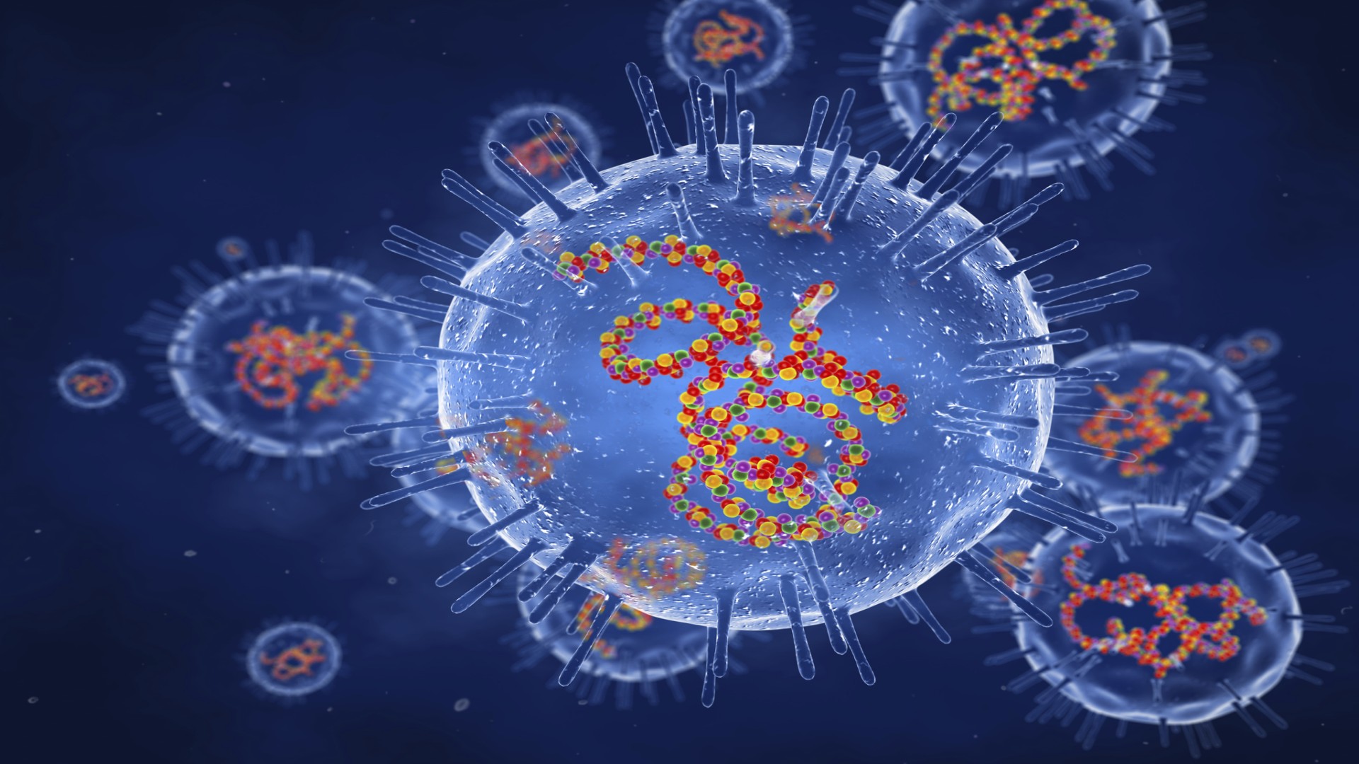 Rubella illustration