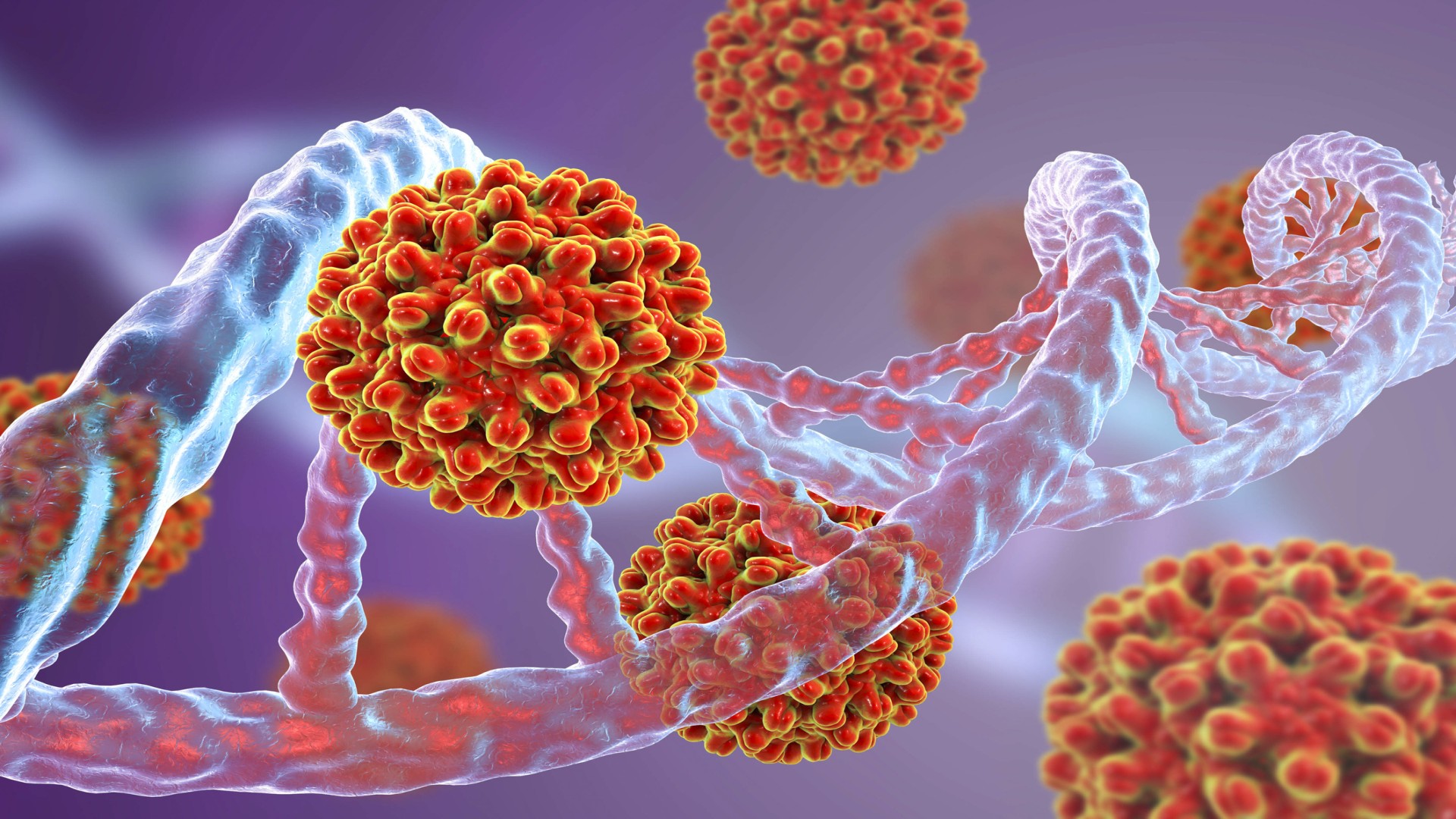 Hepatitis B illustration