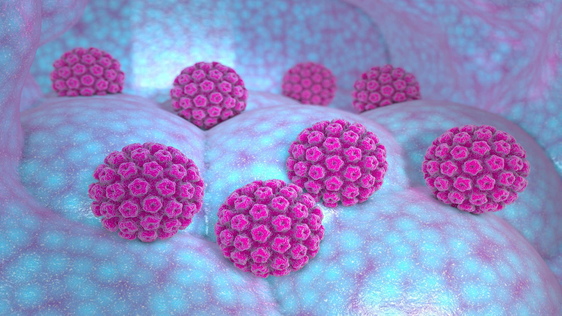 HPV, illustration