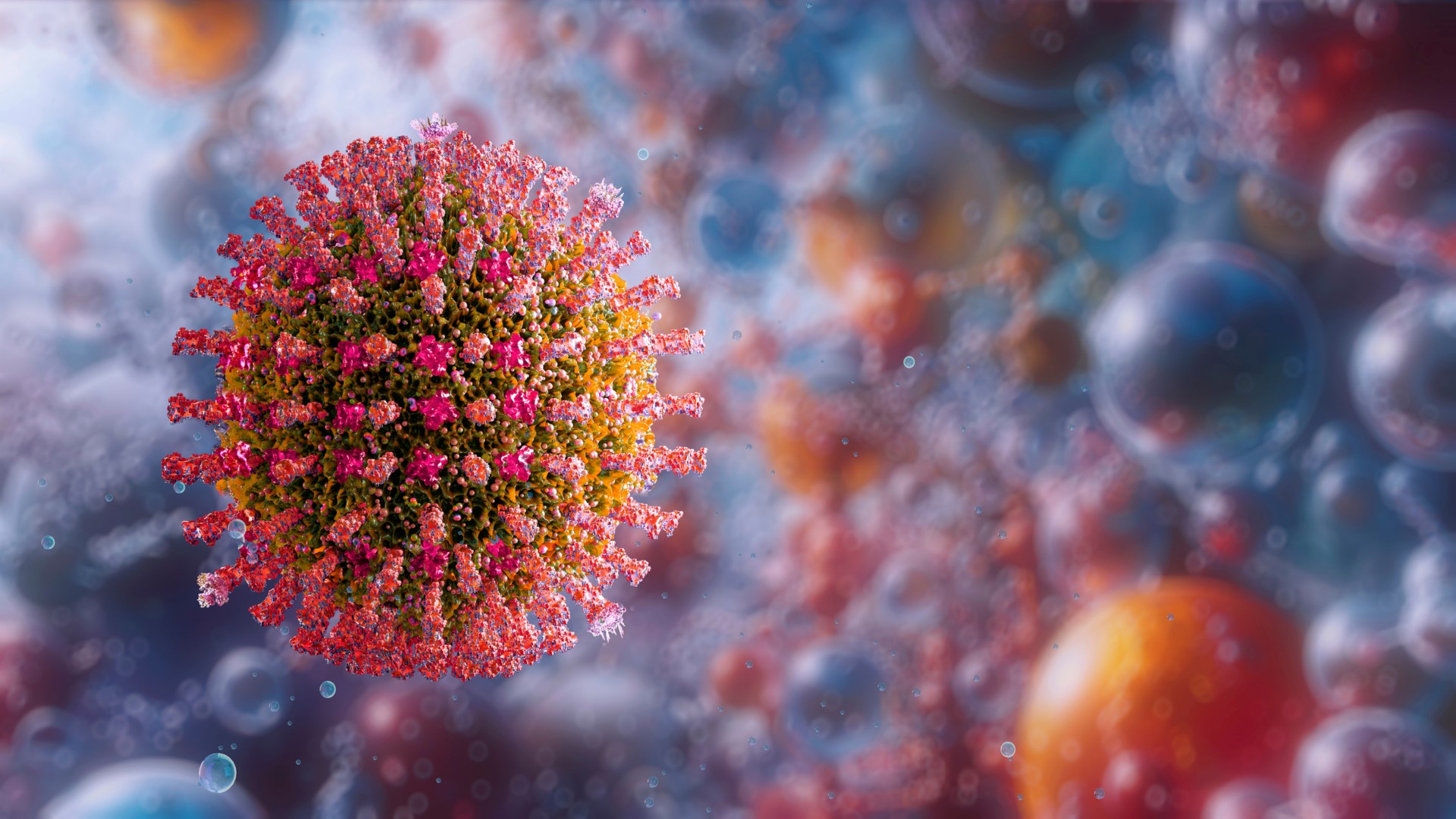 Measles, illustration