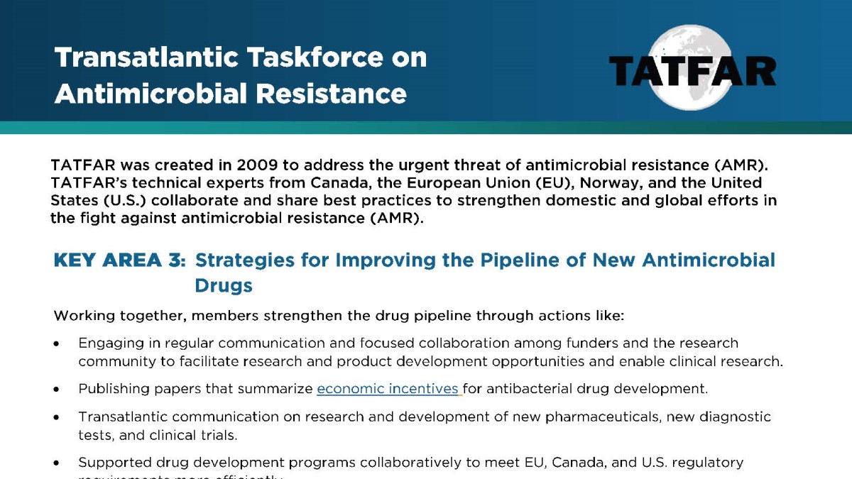 TATFAR Key Area 3 Strategies New Drugs TATFAR Key Area 3 Strategies New Drugs