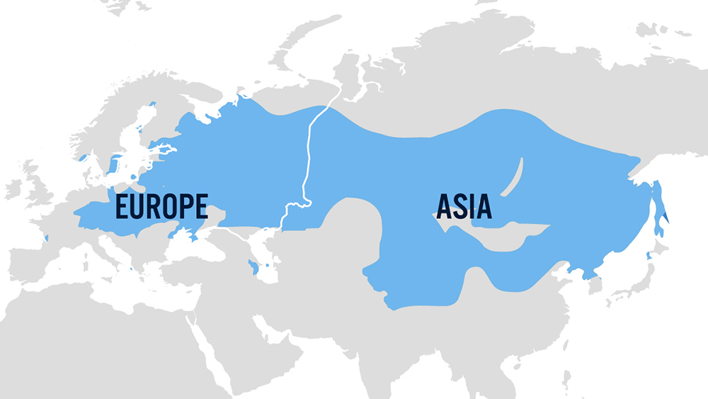 Map showing range of tick-borne encephalitis cases in Europe and Asia.