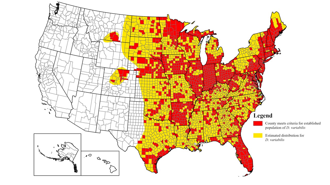 Image shows a map of the United States highlighting which counties have an established population of American dog ticks.