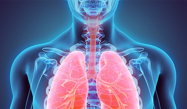Ilustraci&oacute;n de pulmones con una bandera que dice Nuevo