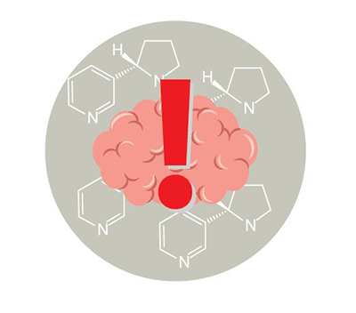 La nicotina puede da&ntilde;ar el cerebro adolescente en desarrollo. El cerebro se desarrolla hasta alrededor de los 25 a&ntilde;os. Hay una ilustraci&oacute;n de un cerebro con un signo de exclamaci&oacute;n.