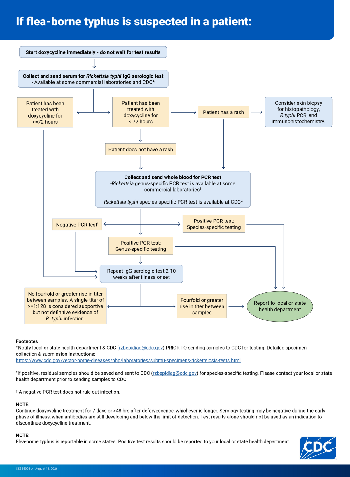 Screenshot of "Flea-borne typhus diagnostic algorithm"