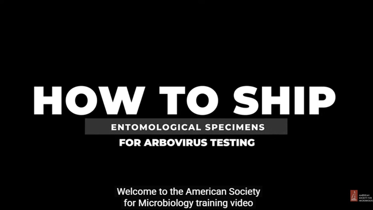 Opening of a video on how to ship entomologic specimens