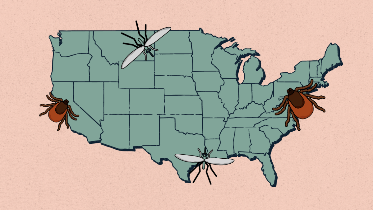 United States map graphic Graphic of a U.S. map showing the mosquitoes and ticks live everywhere.