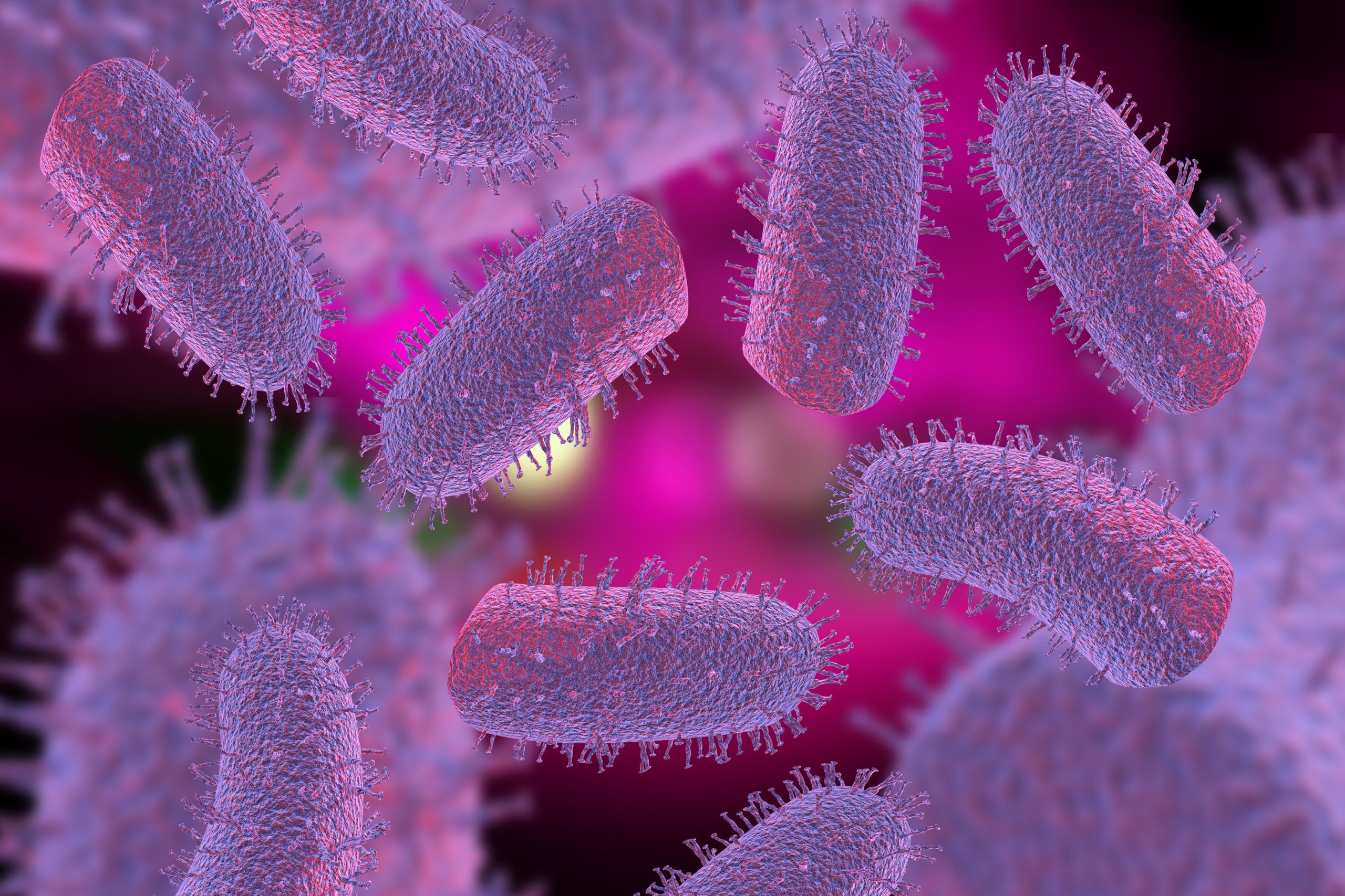 This image shows microscopic rabies with hair-like fibers on purple, oblong shaped viruses.